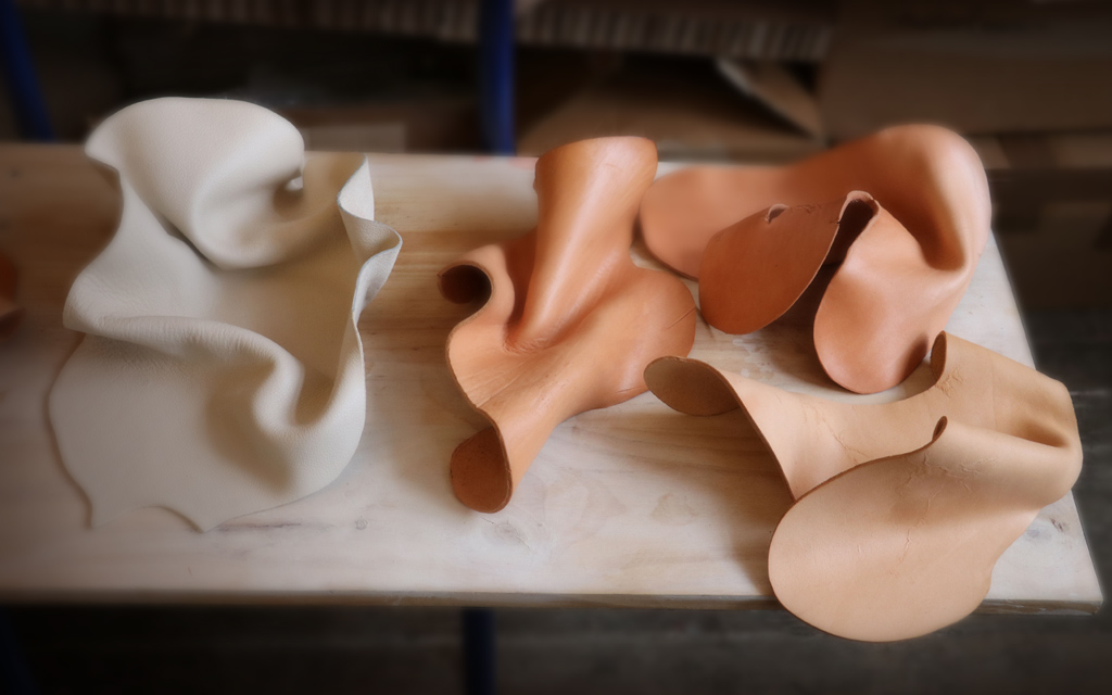 Process_SKIN-a