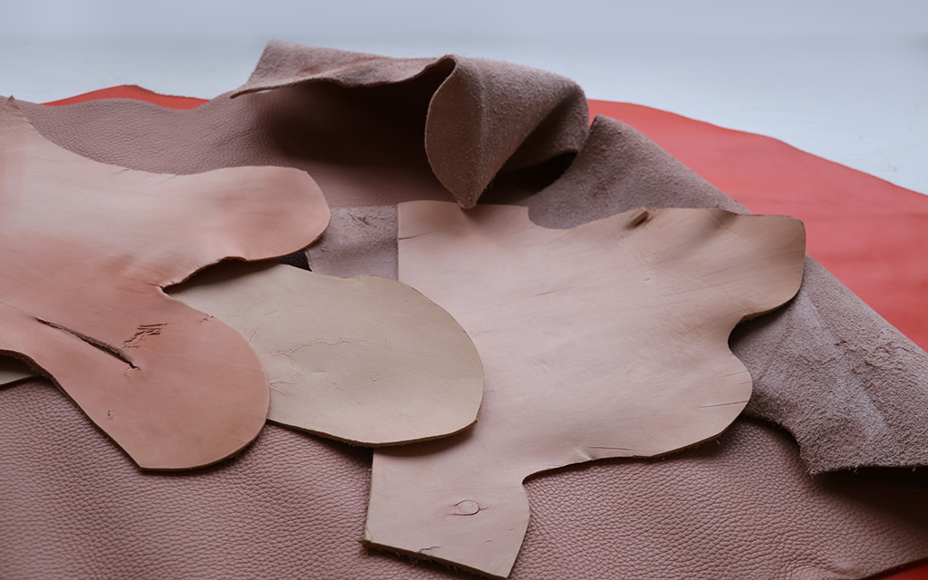 Process_SKIN-c